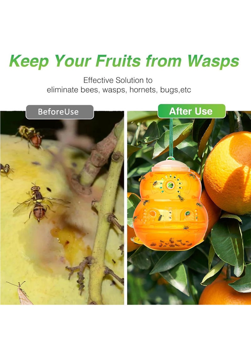 مجموعة مصيدة ذباب الفاكهة، طُعم قاتل للذباب على شكل قرع لمكافحة الآفات - برتقالي - Image 3