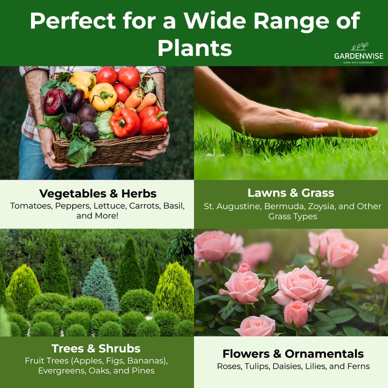 GARDENWISE 10-10-10 Plant Fertilizer Slow Release - 10 10 10 All Purpose Granular Garden Fertilizer for Vegetables, Tomato, Arborvitae, Shrubs, Rose, Flowers, Fruit, Fig Trees (2 QUARTS) - Image 3