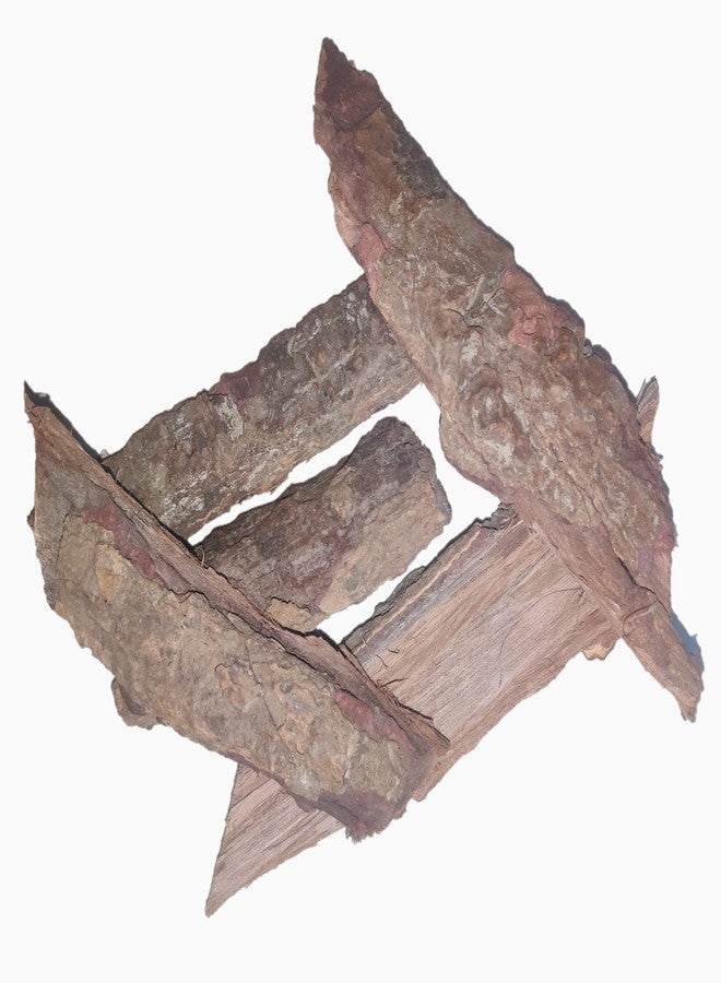 Kartik Export كارتيك إكسبورت أشوك تشال - أشوكا بارك - ساراكا أشوكا بارك - لحاء شجرة أشوك - جرة 250 جرام - Image 3