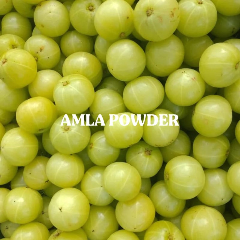 NutriOrganics Dried Amla Fruit PowderIndian Gooseberries PowderMalanelliAmalakkamuUsirikai PowderNo Added Preservatives200 Grams - Image 4