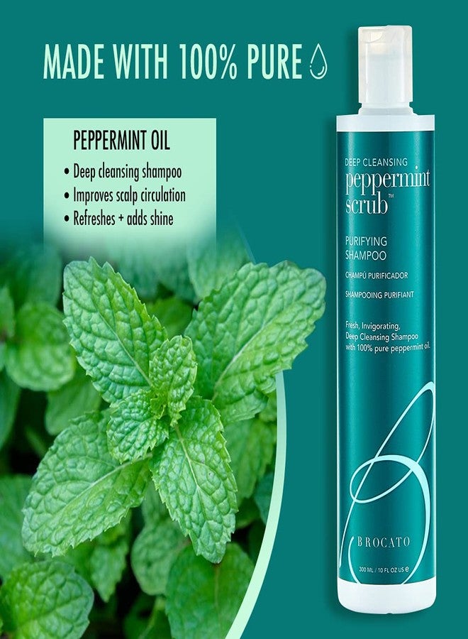Brocato Peppermint Scrub Purifying Shampoo, Deep Cleansing, 10 Oz. | Fresh, Invigorating, & Lightweight with Pure Peppermint Oil | Ideal for Oily to Normal Hair Types | Sulfate & Paraben Free - Image 5