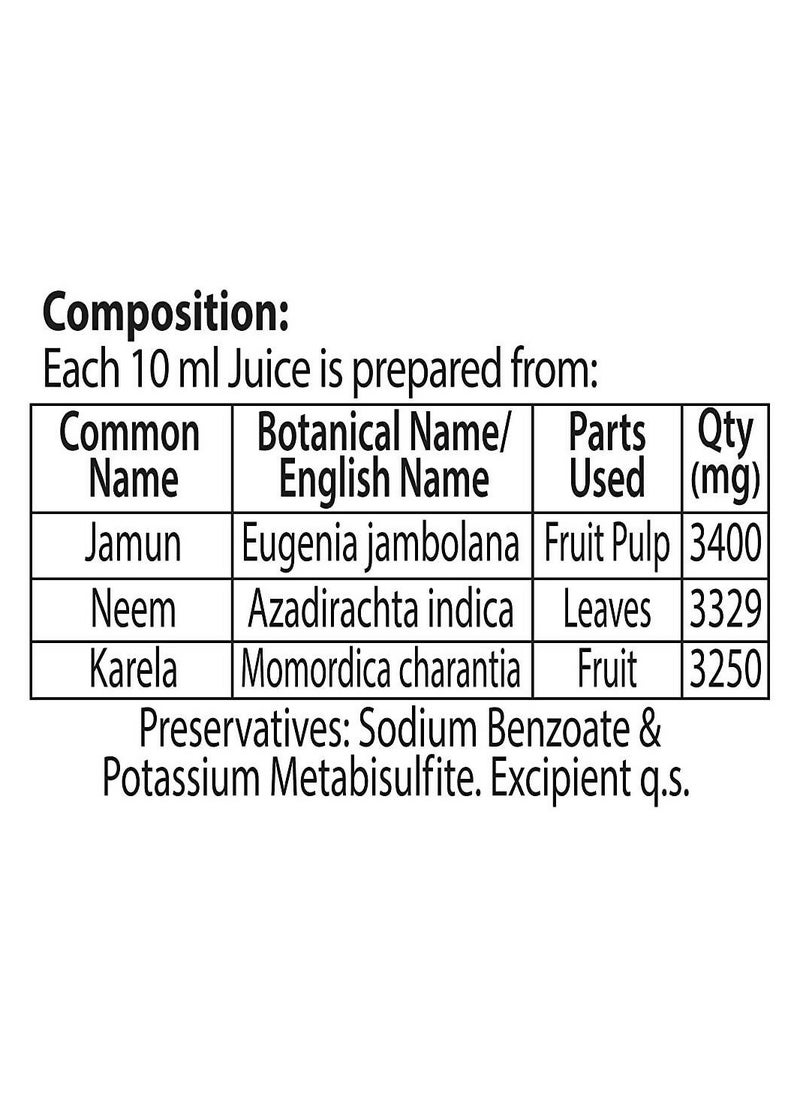 Dabur - Dabur Jamun Neem Karela Juice -1 L - Image 1