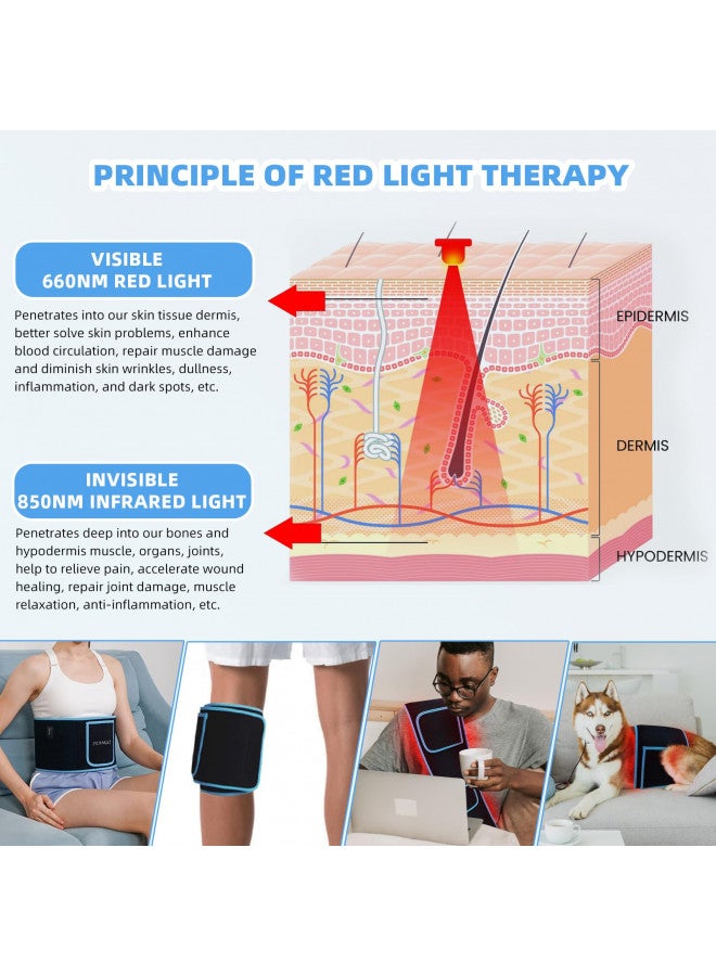 feangli Red Light Therapy Infrared Light Therapy Wrap Belt for Body Pain Relief Wearable Large Pad for Waist Back Stomach Muscle Repair, Decrease Inflammation, Speed Healing LED 660nm&850nm with Controller - Image 2