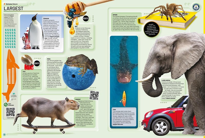 غينيس للأرقام القياسية 2026 - Image 5