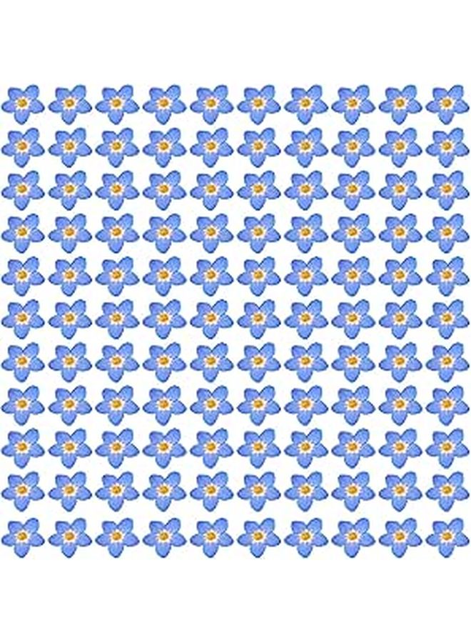 Natural Dried Blue Pressed Flowers 100 Pieces 0 24 0 4 Inch For Resin Jewelry Making - Image 1