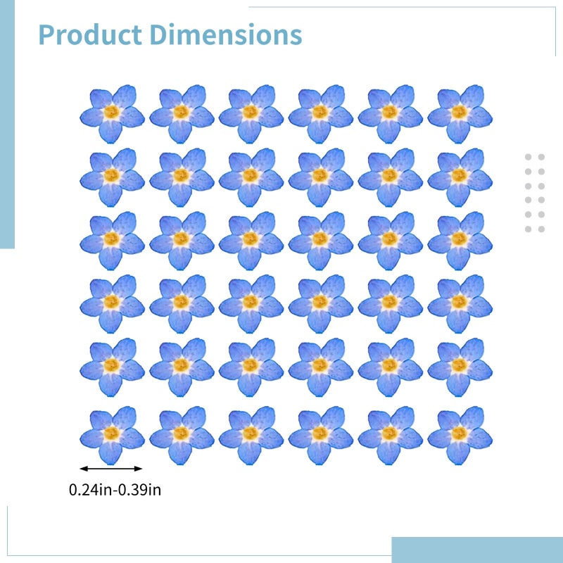 Natural Dried Blue Pressed Flowers 100 Pieces 0 24 0 4 Inch For Resin Jewelry Making - Image 5