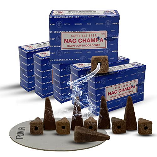 TRUMIRI Nag Champa Backflow Incense Cones for Waterfall Aromatic Smoke Fountain Haze Falls and Mat Bundle - Pack of 6 - Image 1