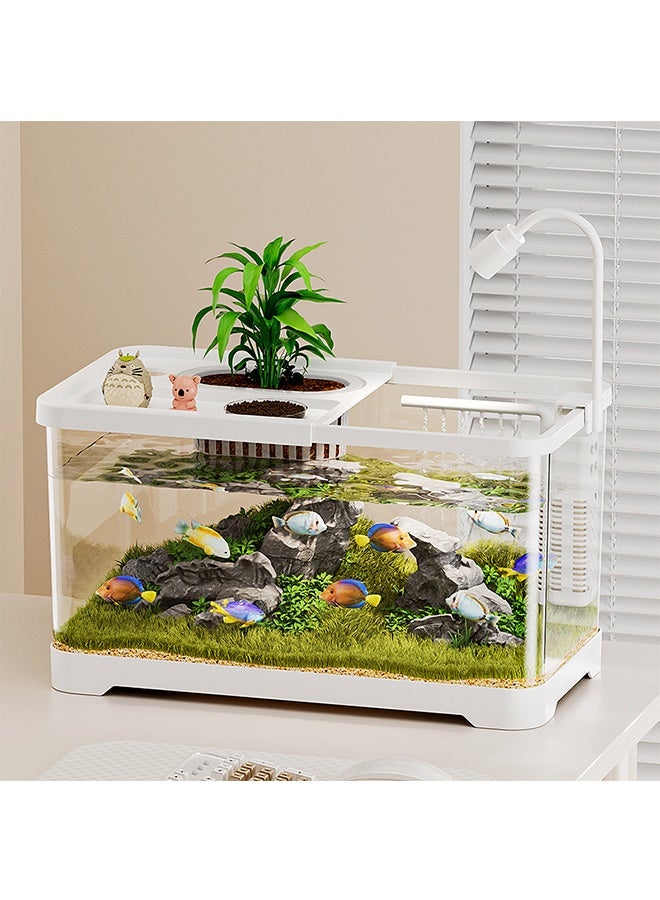 JCB CHIC 4K Ultra Clear Ecological Fish Tank ，360° View Desktop Aquarium with Quiet Filtration System, LED Grow Light and Planter，Aquarium Glass Betta Fish Tank Starter Kits Starter Kit For Home Office Decor, Betta Fish(L) - Image 2