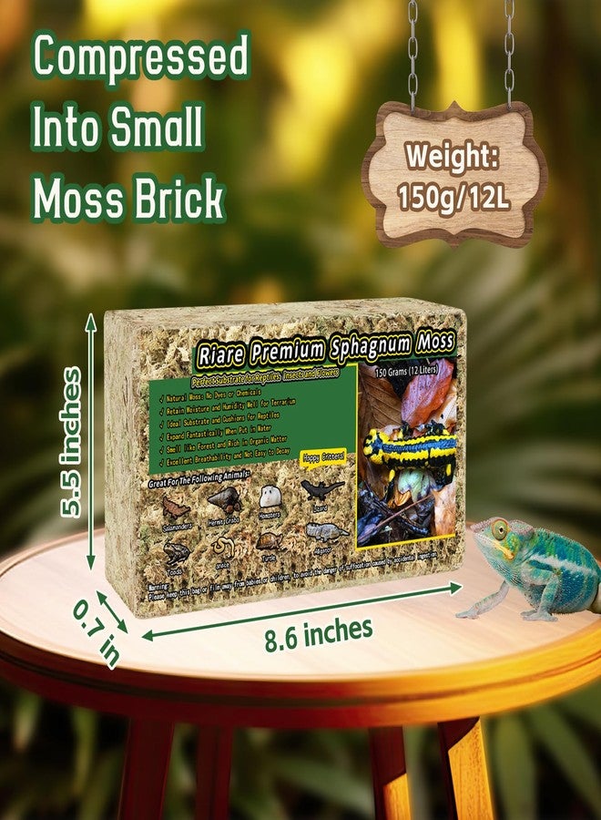 Riare 5.3 OZ Premium Sphagnum Moss for Reptiles- Natural Reptile Moss Forest Plume Moss for Incubation Medium, Green Moss Bedding for Anoles, Salamanders, Frogs Toads & Wetland Environment Reptiles - Image 2
