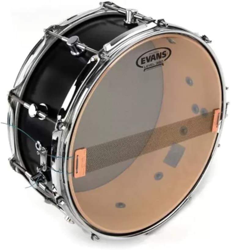 Evans Clear 300 Snare Side Drum Head, 14 Inch
