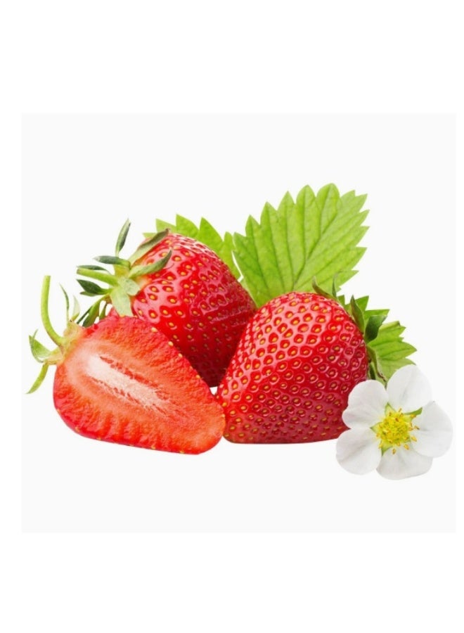 Strawberry Seeds Premium Quality Seeds 200Pcs For Home Garden Planting