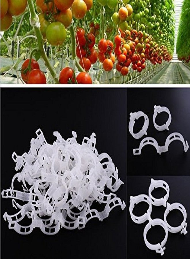 KINGLAKE 150 Pcs Plant Support Garden Clips,Tomato Vine Clips,Tomato Trellis Clips for Vine Vegetables Tomato to Grow Upright and Makes Plants Healthier - Image 4