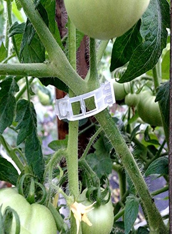 KINGLAKE 150 Pcs Plant Support Garden Clips,Tomato Vine Clips,Tomato Trellis Clips for Vine Vegetables Tomato to Grow Upright and Makes Plants Healthier - Image 5