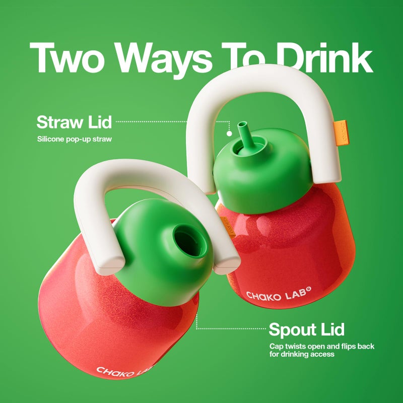 CHAKO LAB Christmas Water Bottle with Straw and Carry Handle | Wide Mouth vacuum insulated stainless steel Bottles | Reusable, leak-proof and BPA-free | 33oz(Green&Red) - Image 3