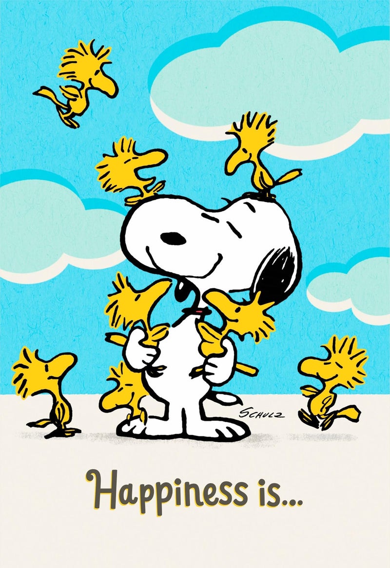 DaySpring - Peanuts - Thinking of You - 4 Design Assortment With Scripture - 12 Boxed Cards & Envelopes - Image 4