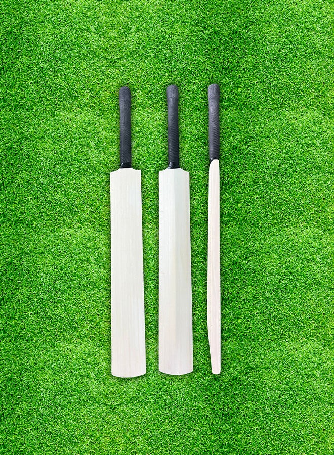 CA Autograph Cricket Bat Full Size - Image 1