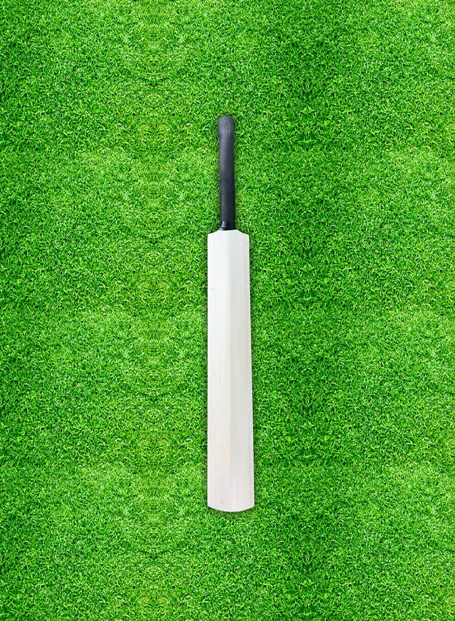 CA Autograph Cricket Bat Full Size - Image 3