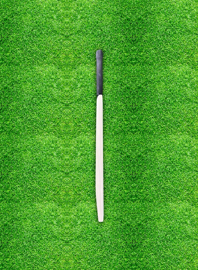 CA Autograph Cricket Bat Full Size - Image 2