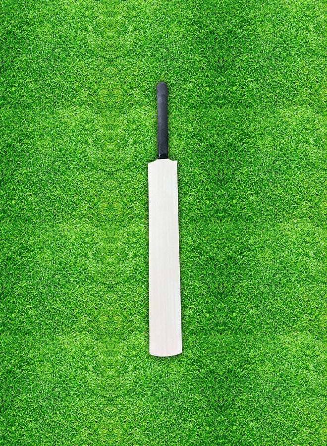 CA Autograph Cricket Bat Full Size - Image 4