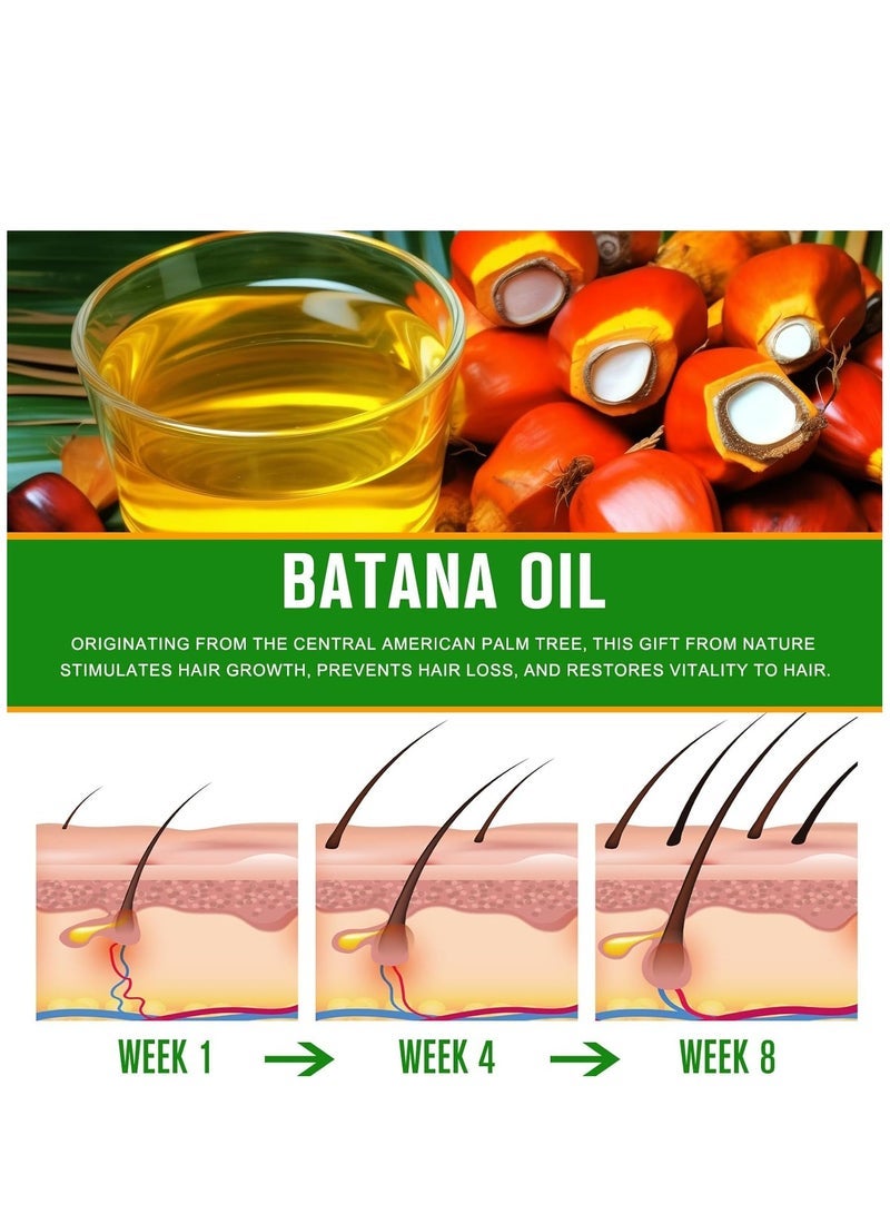ALIVER 60ml Batana Oil with Roller for Hair Growth Hair Conditioner Oil for Thin Hair Repair Damaged Hair Nourishes Thin Hair Scalp Skin and Loss Hair Growth Fit for All Hair Types Raw Batana Oil - Image 5