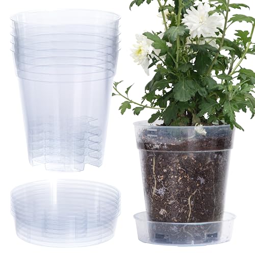 Phoenix Vine 1 Gallon 6 Inch Clear Plastic Plant Pot with Drainage Holes Interlocking Detachable Tray Deep Saucer Durable BPAFree Plastic Transparent Design Raised Base for Airflow Set of 6 92XA6 - Image 1