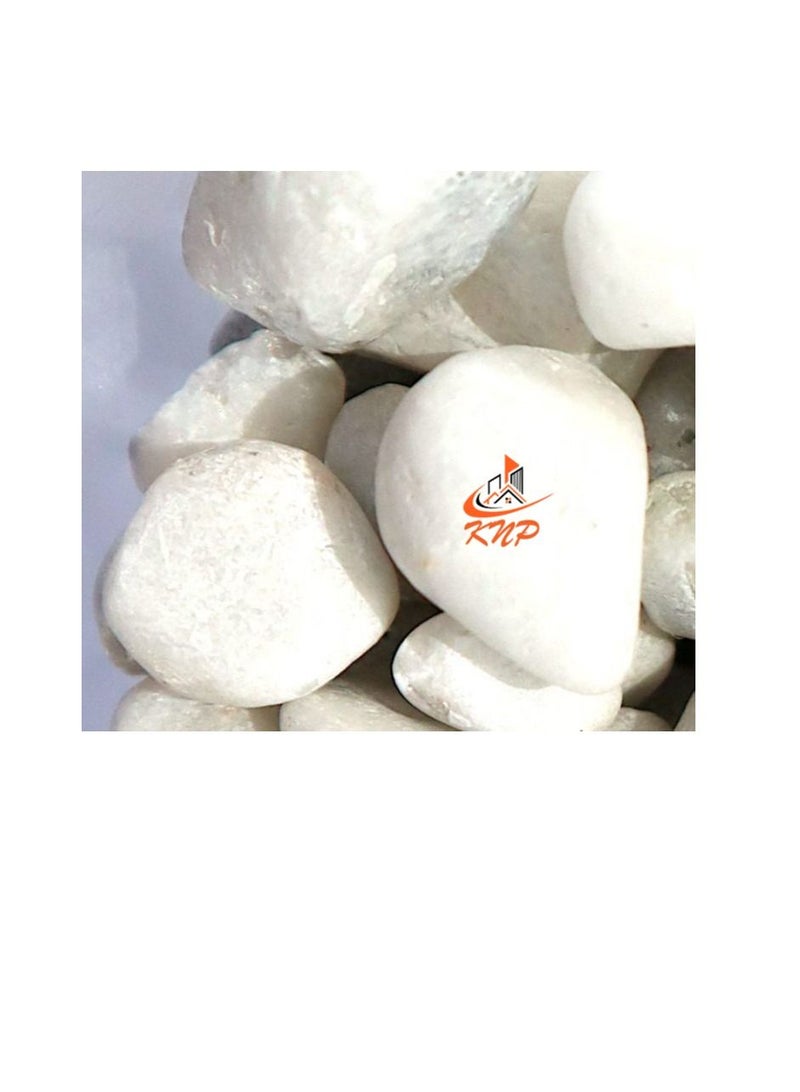 KNP White Color Decorative Painted Pebbles Aquarium 10-15mm 20 kg - Image 1