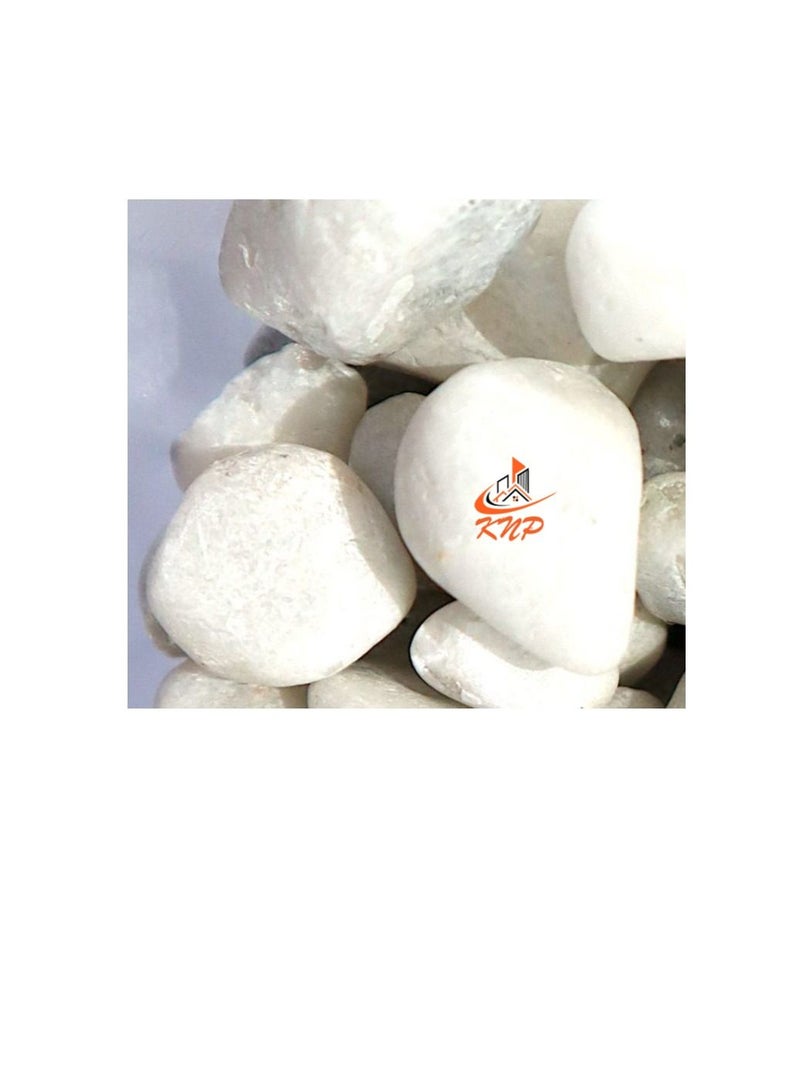 KNP White Color Decorative Painted Pebbles Aquarium 10-15mm 20 kg - Image 3