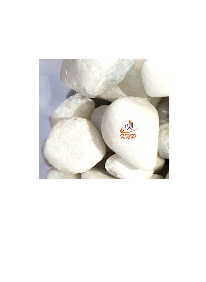 KNP White Color Decorative Painted Pebbles Aquarium 10-15mm 20 kg - Image 2