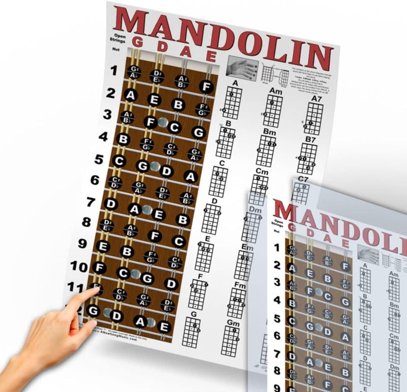A New Song Music Laminated Mandolin Fretboard Notes & Easy Beginner Chord Chart 11"x17" Instructional Poster by - Image 3
