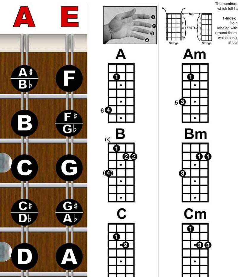 A New Song Music Laminated Mandolin Fretboard Notes & Easy Beginner Chord Chart 11"x17" Instructional Poster by - Image 4