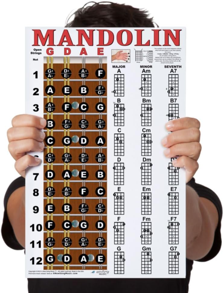 A New Song Music Laminated Mandolin Fretboard Notes & Easy Beginner Chord Chart 11"x17" Instructional Poster by - Image 1