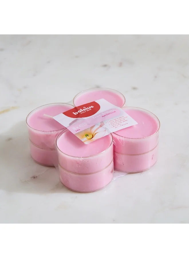 Home Box  Bolsius 8-Piece Magnolia Scented Maxi Light Set - 375 gm  | Best Price UAE
