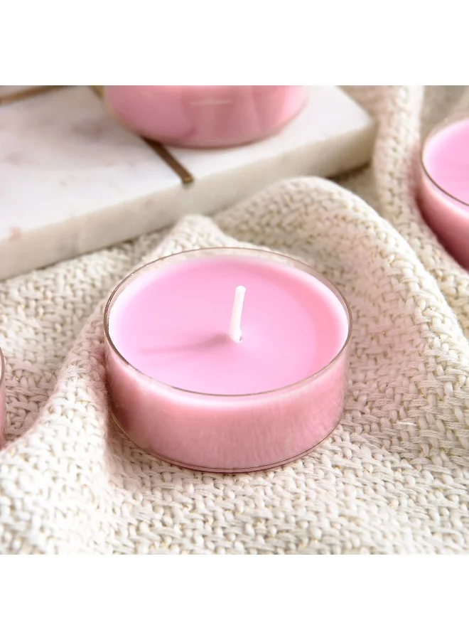 Home Box  Bolsius 8-Piece Magnolia Scented Maxi Light Set - 375 gm  | Best Price UAE