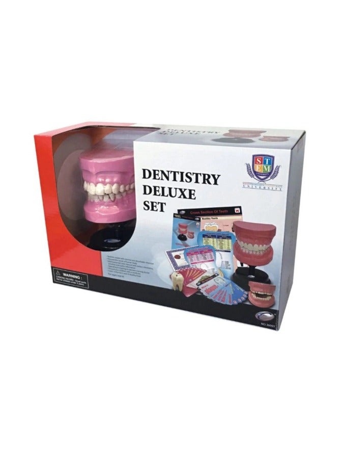 EASTCOLIGHT DENTISTRY DELUXE SET - Image 1