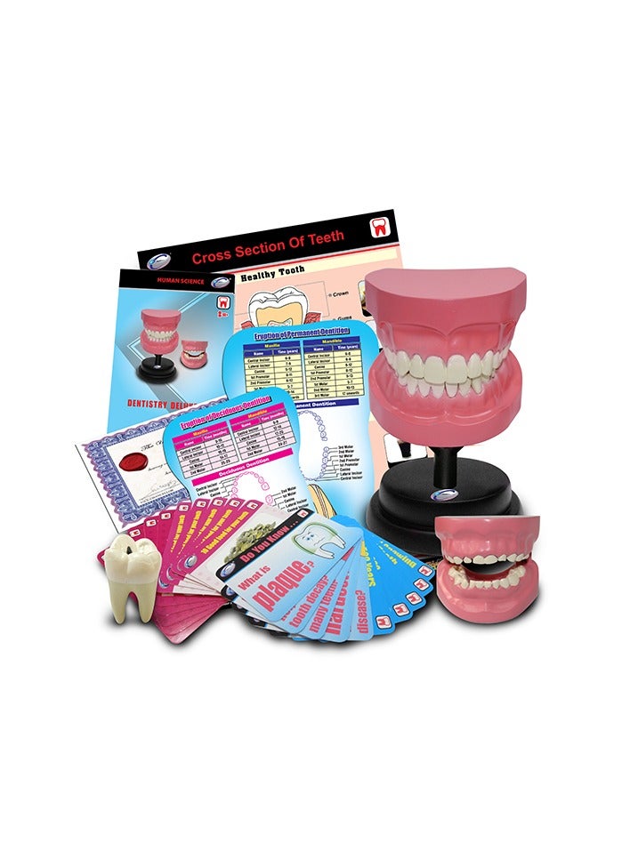 EASTCOLIGHT DENTISTRY DELUXE SET - Image 2