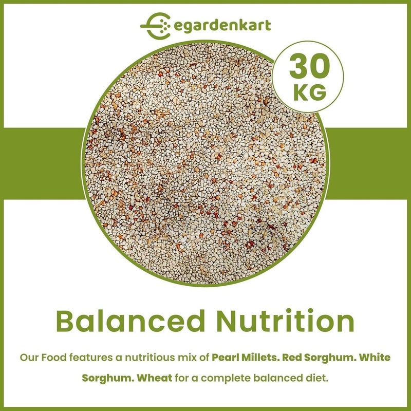 Egardenkart طعام الطيور اليومي من Egardenkart® - 30 كجم، بذور الطيور | طعام الطيور البرية لجميع أنواع الطيور البرية | طعام الطيور للطيور الصغيرة مثل الحمام، الدراج، المينا، القبرة، البلبل، والعصفور، مزيج بذور (30) - Image 2