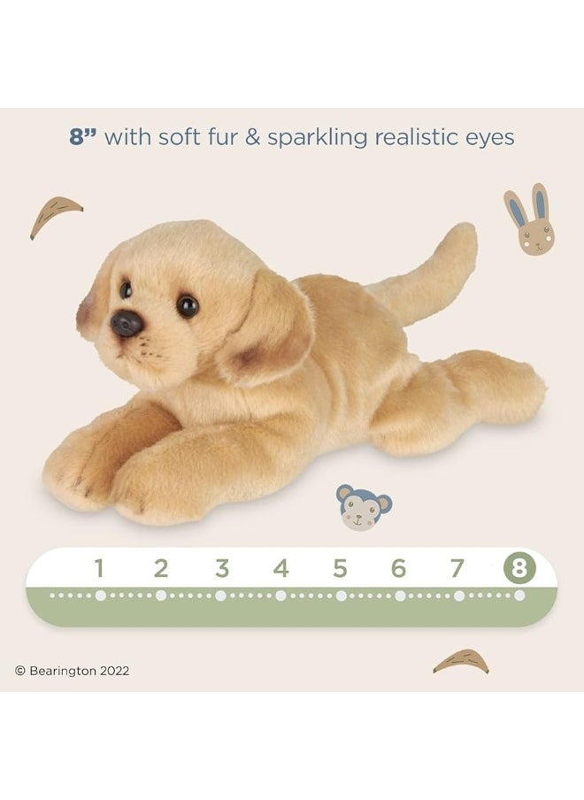 Bearington Collection Bearington Collection Lil' Tanner The Labrador Stuffed Puppy, 8 Inch Yellow Lab Stuffed Animal  - Image 1