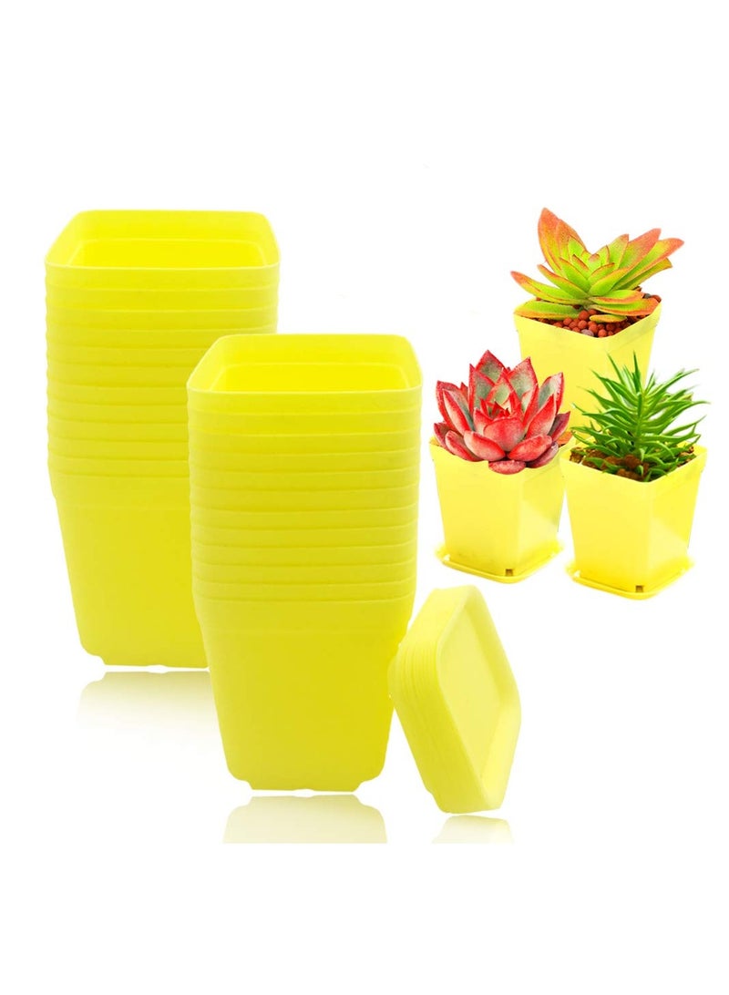 SYOSI Plastic Nursery Seedling Pots, 36Pcs Plastic Square Nursery Pots, 3 Inch Plant Seed Starting Pots, Succulent Square Planter Pot with Saucers, for Room, Office, Garden, Balcony Decor (Yellow) - Image 1
