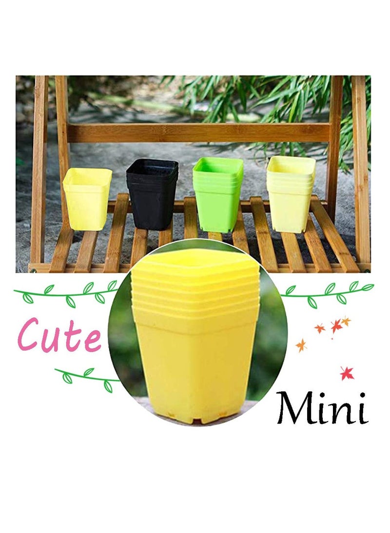 SYOSI Plastic Nursery Seedling Pots, 36Pcs Plastic Square Nursery Pots, 3 Inch Plant Seed Starting Pots, Succulent Square Planter Pot with Saucers, for Room, Office, Garden, Balcony Decor (Yellow) - Image 5
