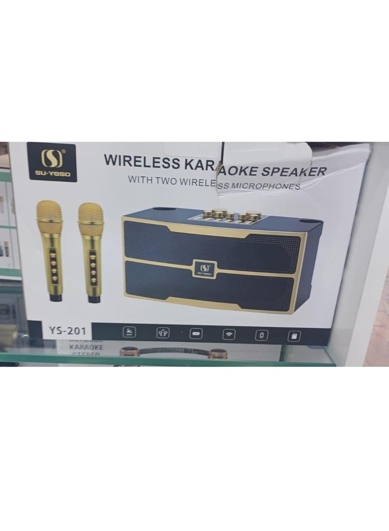 YS-201 20W Large Power Outdoor Stereo KTV Speaker Set Dual BT Speaker with 2 Wireless Microphones - Black - Image 5