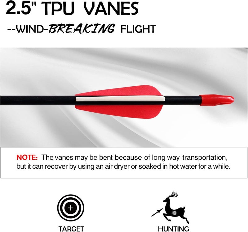 CQ TOP Archery Targeting Arrows 28inch Practice Arrows for Recurve Bow Fiberglass Training Arrows for Kids Youth and Teens (12Pcs/6Pcs) - Image 5