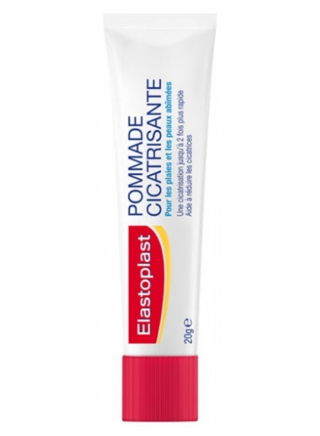 Healing Ointment 20g