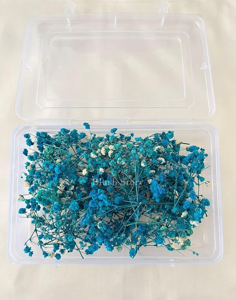Generic Baby Breath/Gypsy Dried Artificial Flower Sticks for Women, Wedding, Party, Bridal Hair Accessories, Artificial flower for Hair (Light Blue)  - Image 5