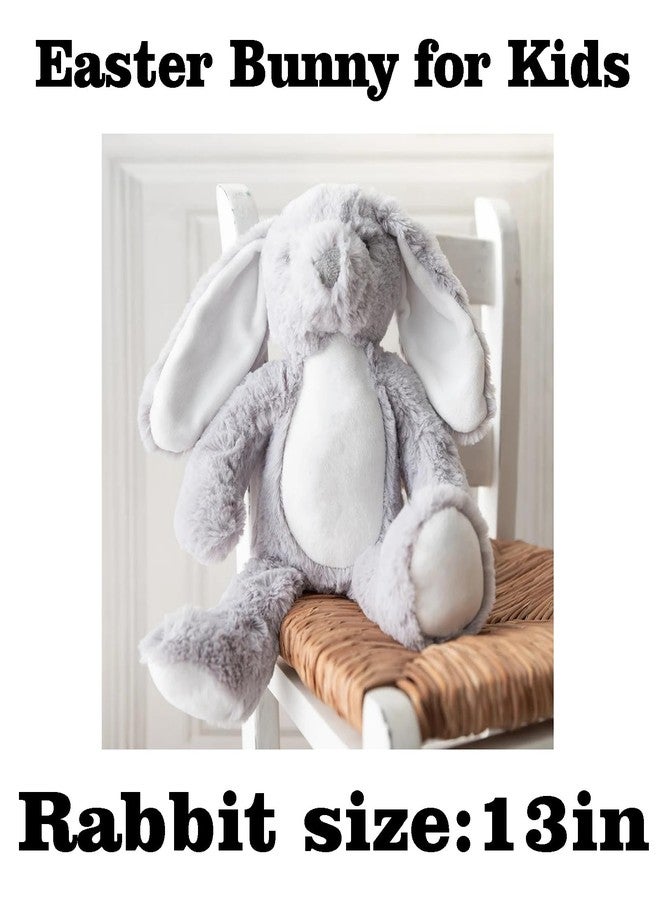 OAEUQ 2025 My Baby's First Easter Gift Easter Themed Plush Bunny Toys Pillow Toys to Accompany Your Child Baby Flowers Newborn Gifts for Boys and Girls (Design 2) - Image 5