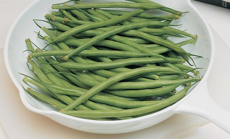 Burpee Filet Triumphe de Farcy Bush Bean Seeds 2 ounces of seed - Image 3