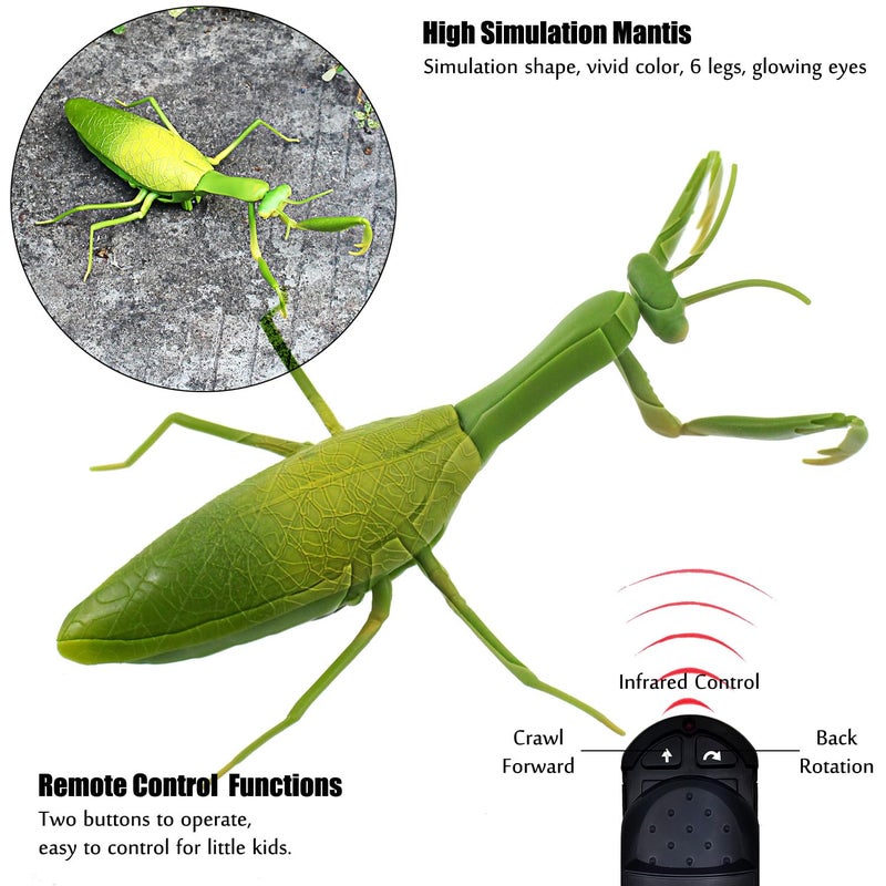 Tipmant RC Praying Mantis Toy IR Remote Control Animal Realistic Insect Car Vehicle Electric for Kids Birthday Gifts - Image 3