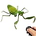 Tipmant RC Praying Mantis Toy IR Remote Control Animal Realistic Insect Car Vehicle Electric for Kids Birthday Gifts - Image 4