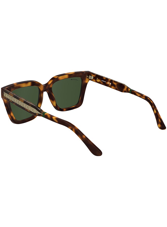 LACOSTE نظارات شمسية لاكوست كاملة الإطار L6063S 5518 (214) هافانا - Image 2