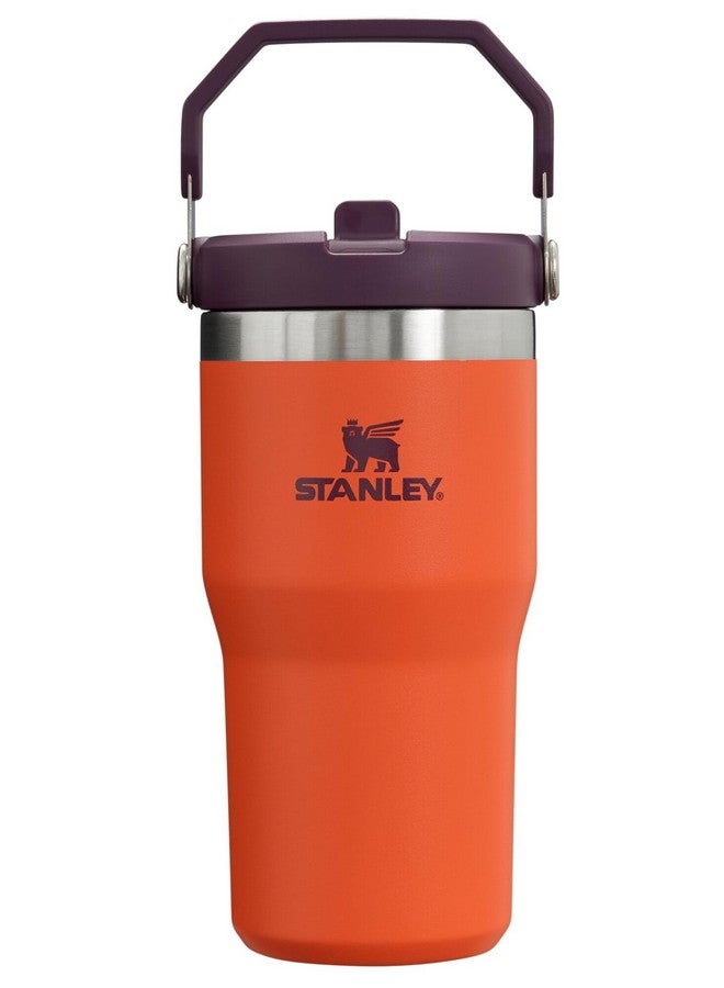 Stanley IceFlow Flip Straw Tumbler with Handle 20 oz | Twist On Lid and Flip Up Straw | Leak Resistant Water Bottle | Insulated Stainless Steel |BPA-Free | Tigerlily Plum - Image 1