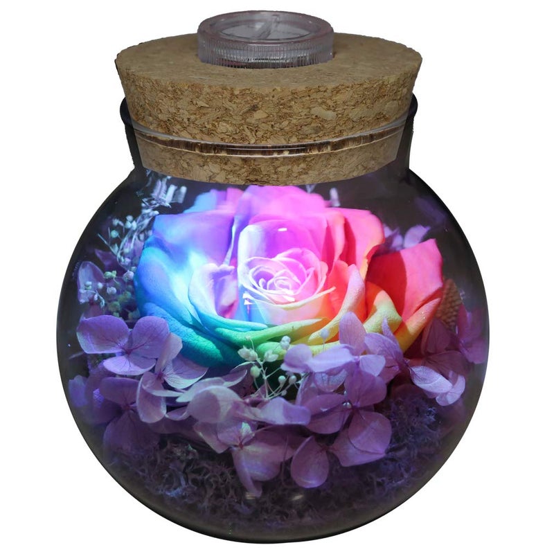 roliys Preserved Real Roses with Colorful Mood Light Wishing BottleEternal RoseNever Withered Flowersfor Bedroom Party Table Decor Christmas AnniversaryValentinesMothers Day Multi